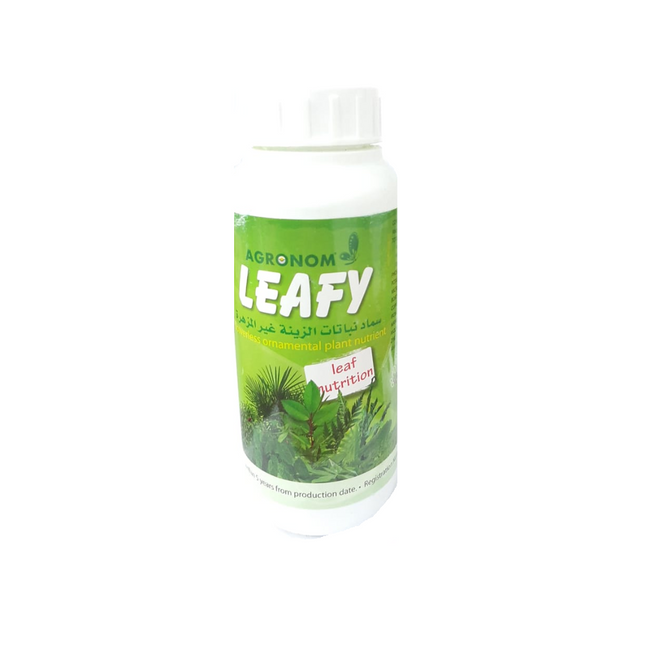Fertilizer for non-flowering ornamental plants, 1 liter