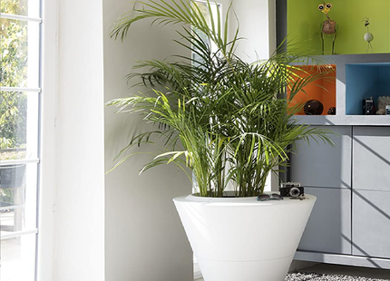 Large white plant pot, 105 liters, 76 * 76 * 76.3 cm