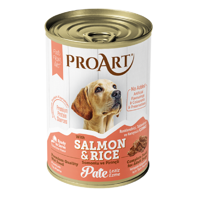PROART_400G DOG FOOD WITH SALMON & RICE
