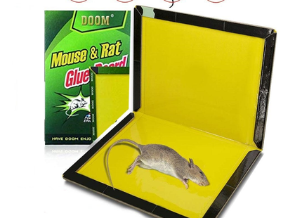Mouse catching glue