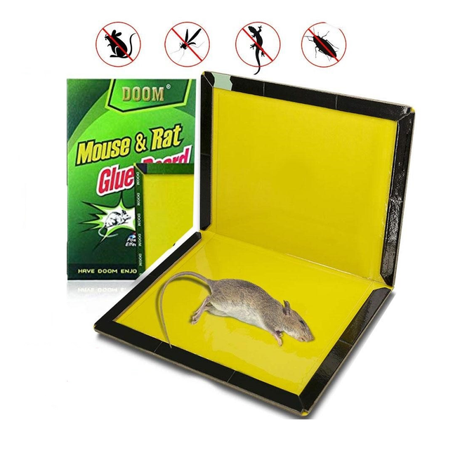 Mouse catching glue