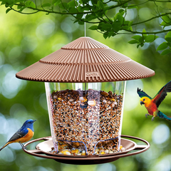 Bird Feeders