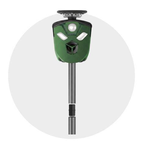 Animal Control & Pesticides