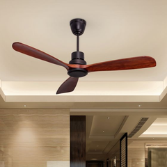 Ceiling Fans