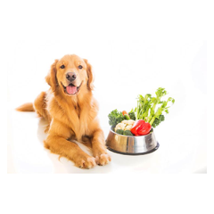 Collection image for: Pet Food
