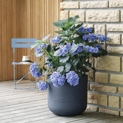 Collection image for: Pots