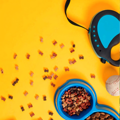 Collection image for: Pet Supplies