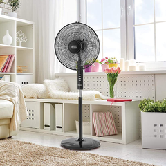 Electric Fan