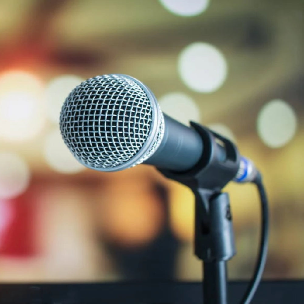 Microphone – Mega Hardware