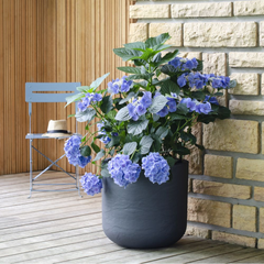Collection image for: Pots