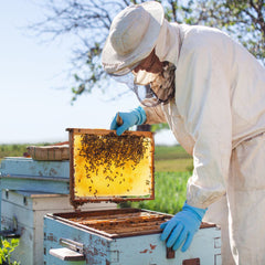 Beekeeping