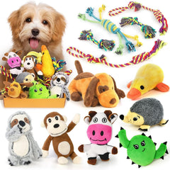 Collection image for: Pet Toys