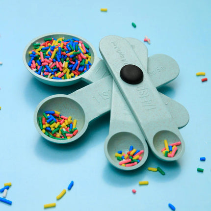 RENA 4PCS MEASURING SPOON SET