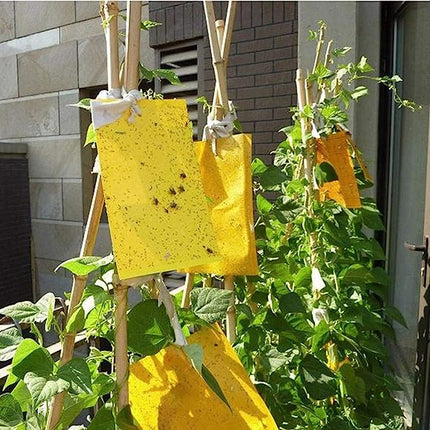 لاصق قاتلة الحشرات / 10 قطع