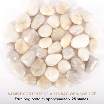 حصى صخور بيضاء من جالاشيلد بوزن 5 رطل