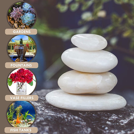 حصى صخور بيضاء من جالاشيلد بوزن 5 رطل