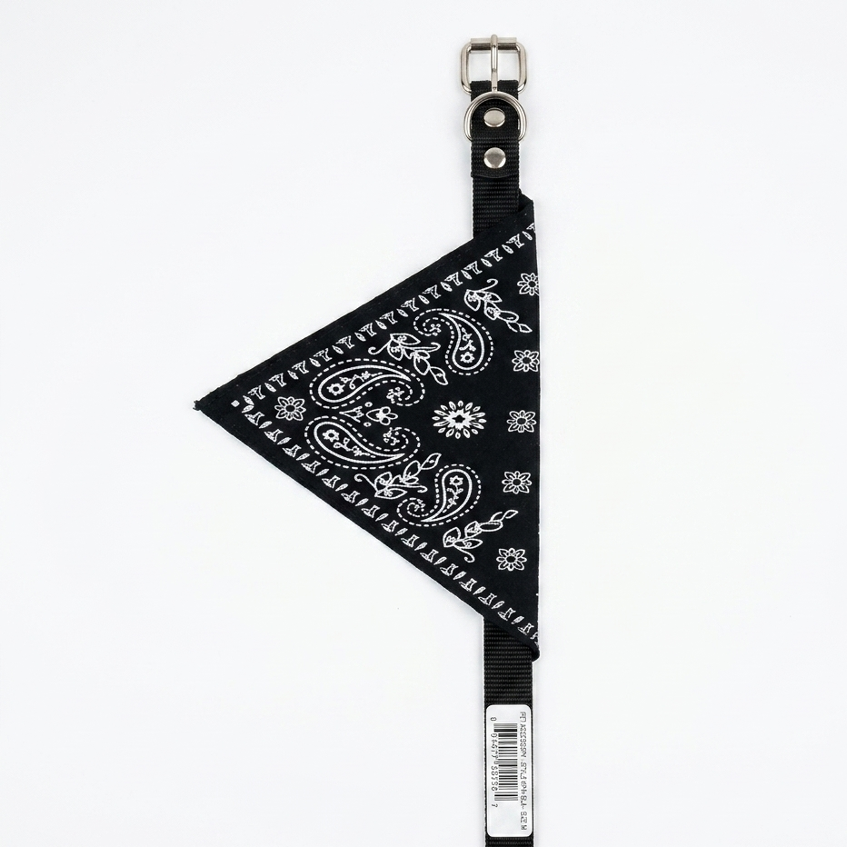 Leather dog collar Leather dog collar