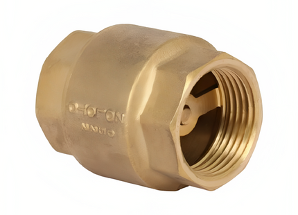 NON RETURN VALVE 2"