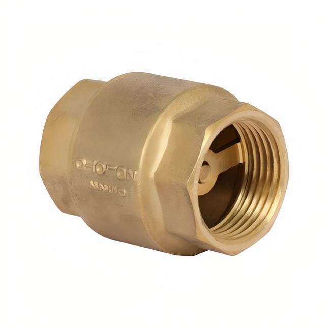 NON RETURN VALVE 2"