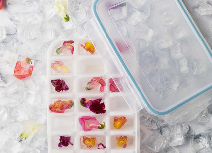 KOMAX BIOKIPS ICE CUBE CONTAINER 