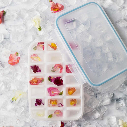 KOMAX BIOKIPS ICE CUBE CONTAINER 