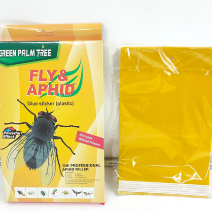 GREEN PALM TREE_مصيده