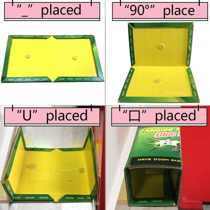 TRAP EXPERT_SM13-19_LB8805_RAT & MOUSE GLUE BOARD_مصيده فئران