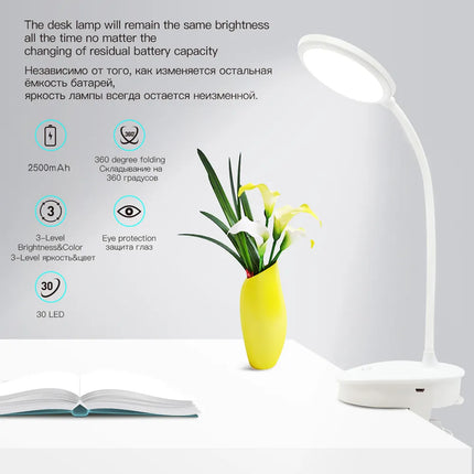 READING LED DESK LAMP
