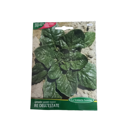 بذور السبانخ