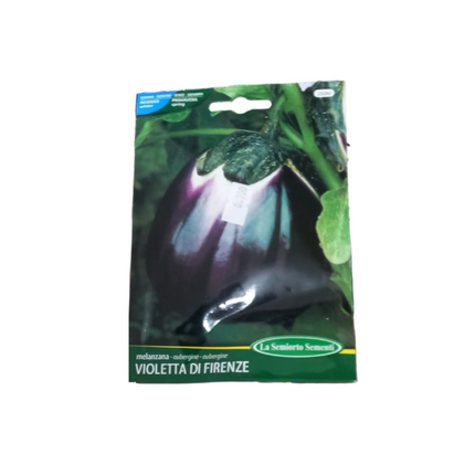 بذور الباذنجان