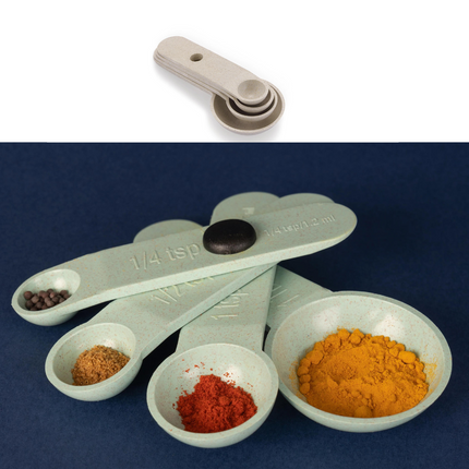 RENA 4PCS MEASURING SPOON SET