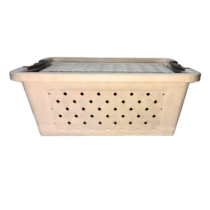 صندوق تخزين رتان صغير