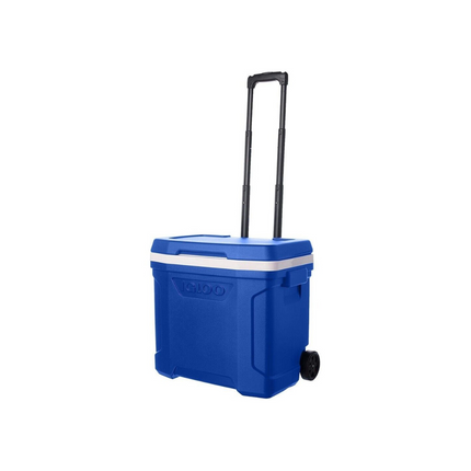 ايس بوكس ايجلو 15 لتر