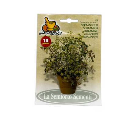 بذور الكزبرة