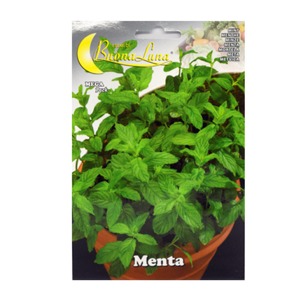 بذور النعناع