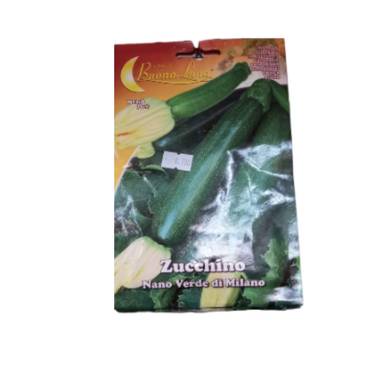 بذور الكوسا