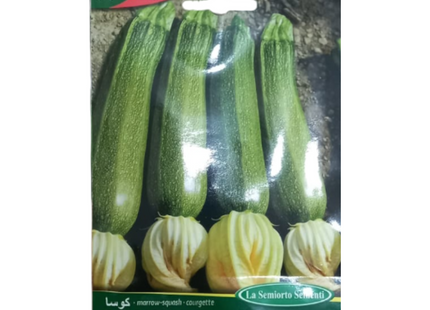 COURGETTE SEEDS