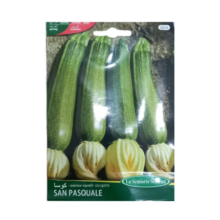COURGETTE SEEDS