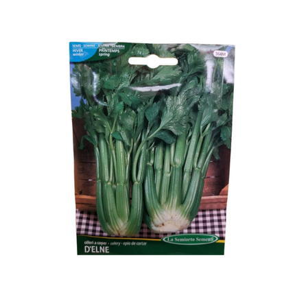 بذور الكرفس