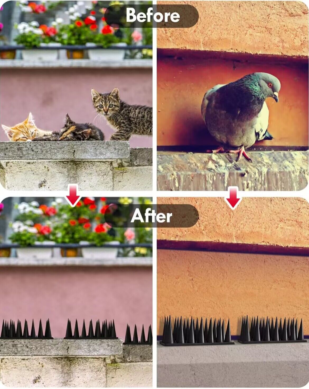 Bird and pigeon repellent - 12 pieces Bird and pigeon repellent - 12 pieces