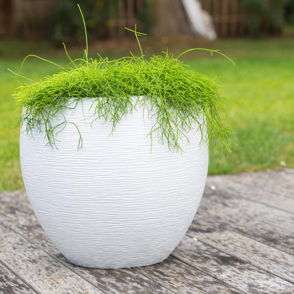 قوار نباتات إيدا  - أبيض 46 لتر 50 * 45 سم