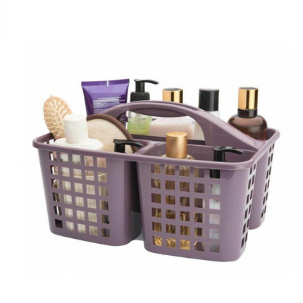 Organizer with handle