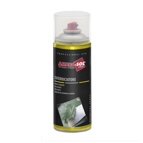 PAINT REMOVER 400 ML I256