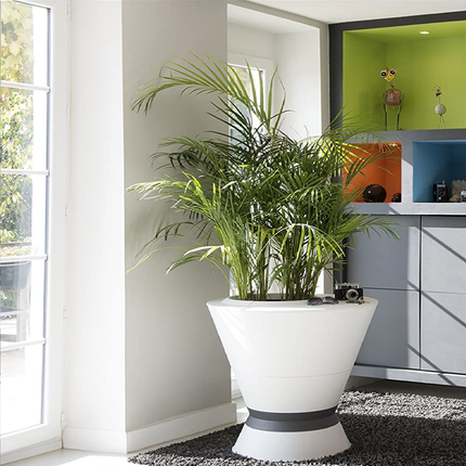 قوار نباتات كبير أبيض 105 لتر 76 *76* 76.3 سم