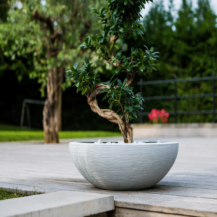 Aida Plant Bottle 14.9L 40*40*16.5cm 