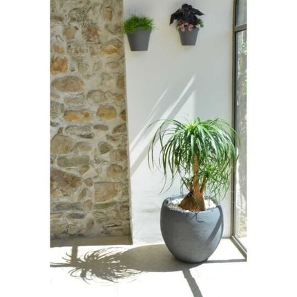 EDA POT "EGG GRAPHITE"PM 46L 50*45 CM