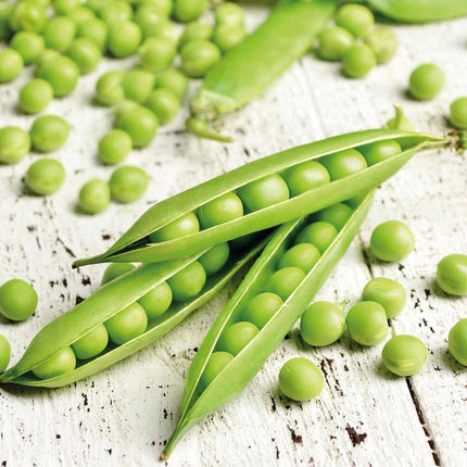 Pea seeds