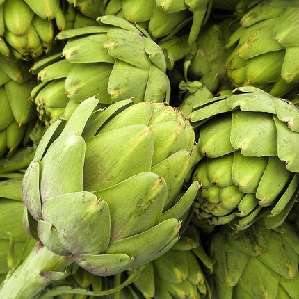 Artichoke seeds