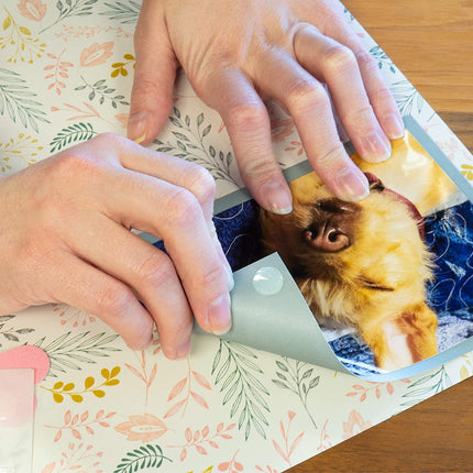 GORILLA ADHESIVE DOTS