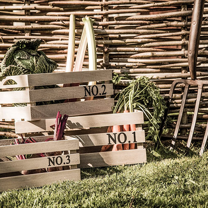 KITCHEN CRAFT NATURAL ELEMENTS MADERA DE PAULOWNIA CAJAS DE ALMACENAMIENTO, JUEGO DE 3